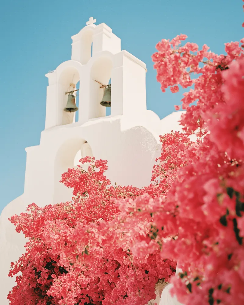 A white chapel bell tower behind pink bougainvillea